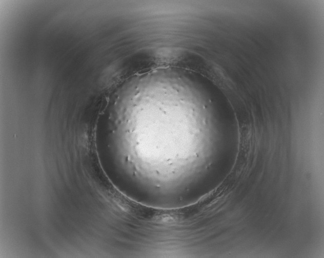 X0000062640655200512211205