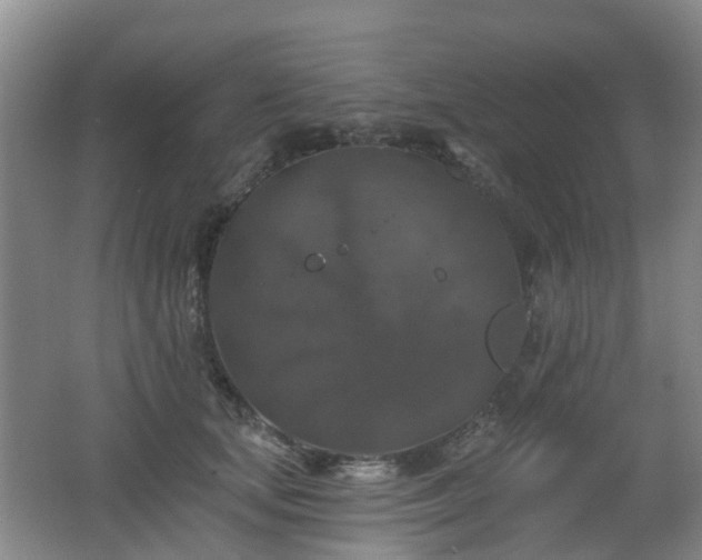 X0000062640659200512211205