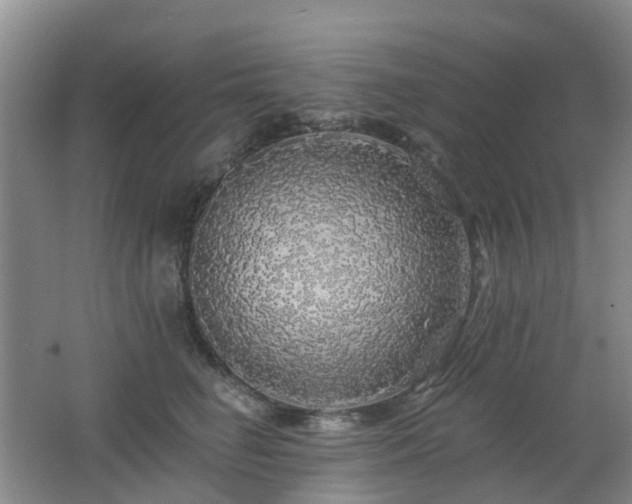 X0000062640662200512211205
