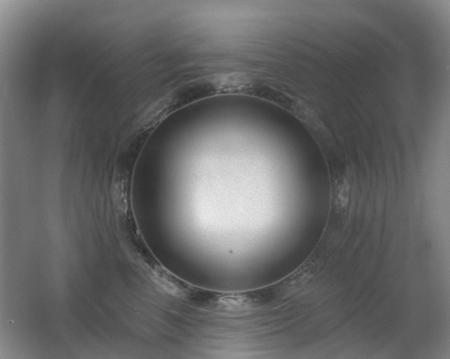 X0000062640666200512211205