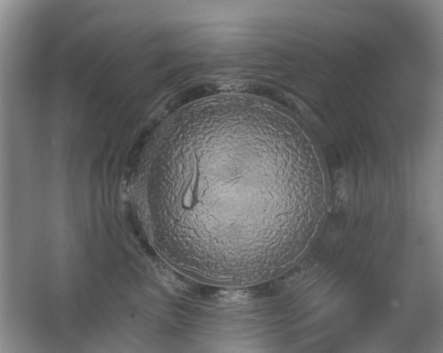 X0000062640667200512211205