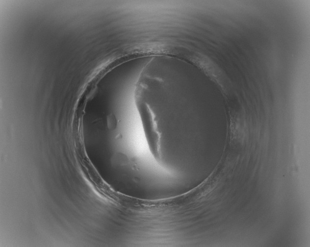 X0000062640674200512211205