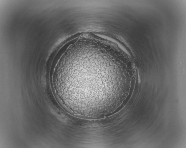 X0000062640675200512211205