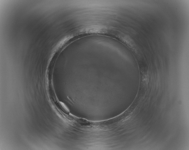X0000062640678200512211205