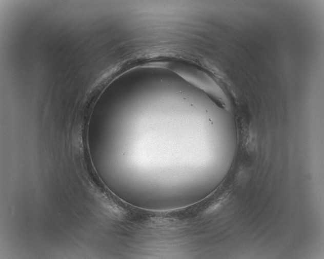 X0000062640681200512211205