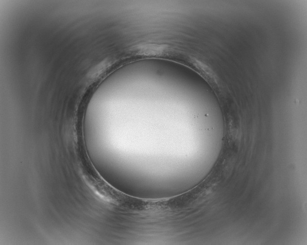 X0000062640682200512211205