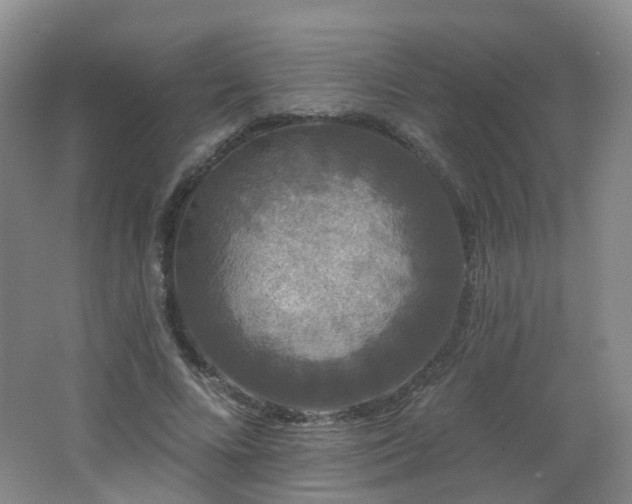 X0000062640688200512211204