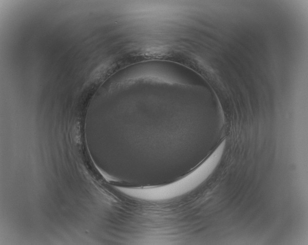 X0000062640689200512211204