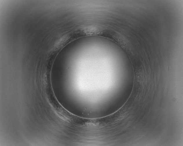 X0000062640690200512211204