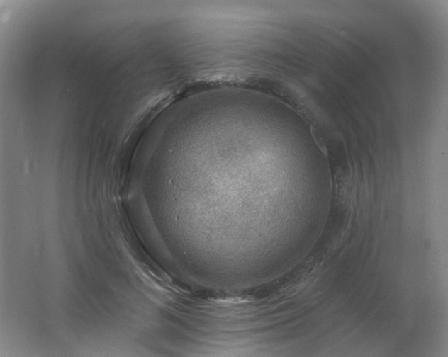 X0000062640692200512211204