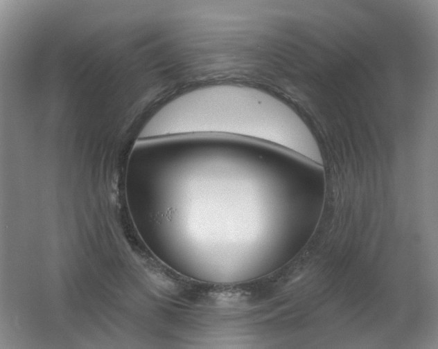 X0000062640693200512211204