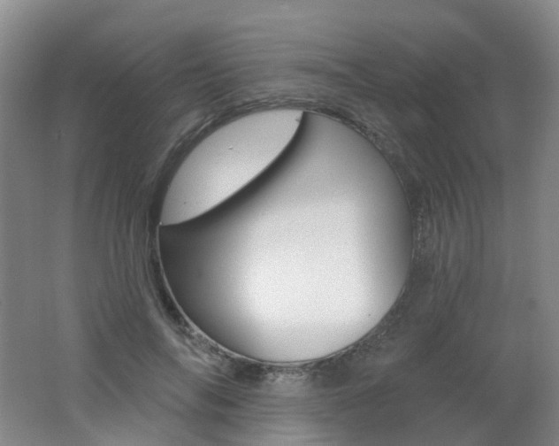 X0000062640694200512211204