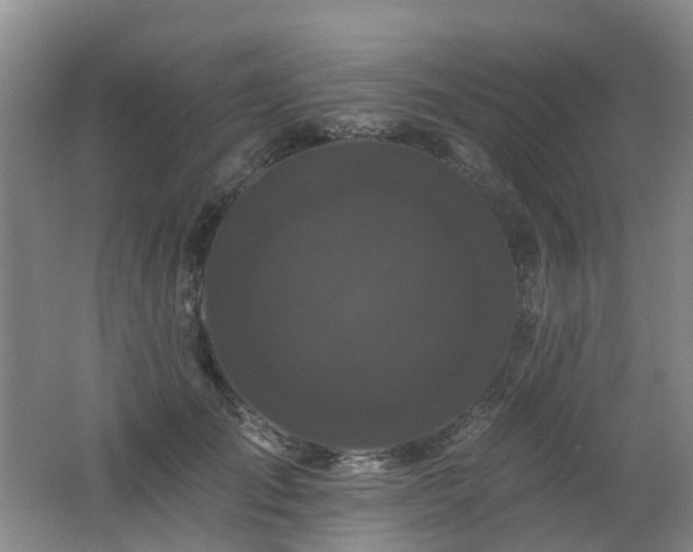 X0000062640701200512211204