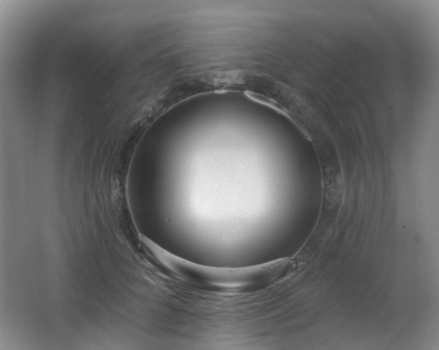 X0000062640704200512211204