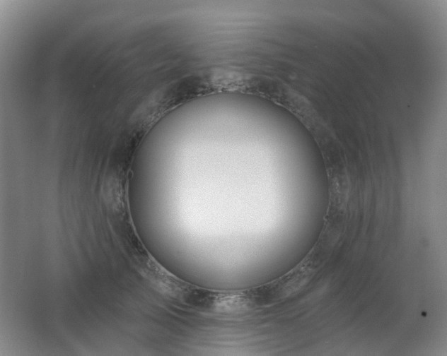 X0000062640705200512211204