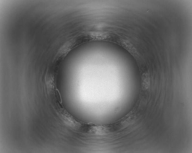 X0000062640713200512211204