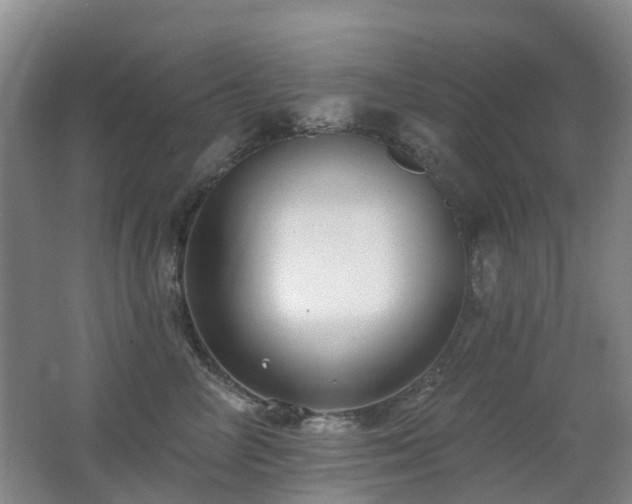 X0000062640714200512211204