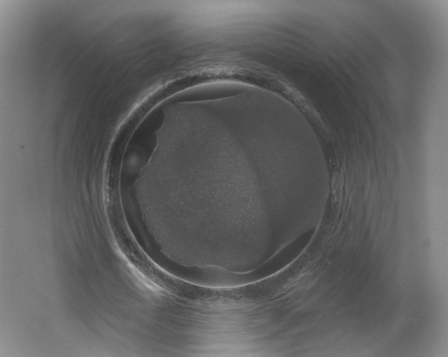 X0000062640722200512211203