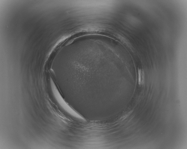 X0000062640723200512211203