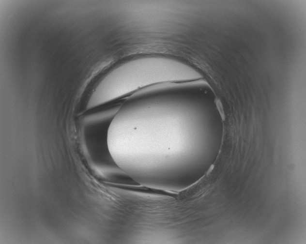 X0000062640731200512211203