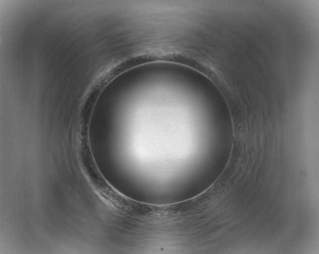 X0000062640736200512211203