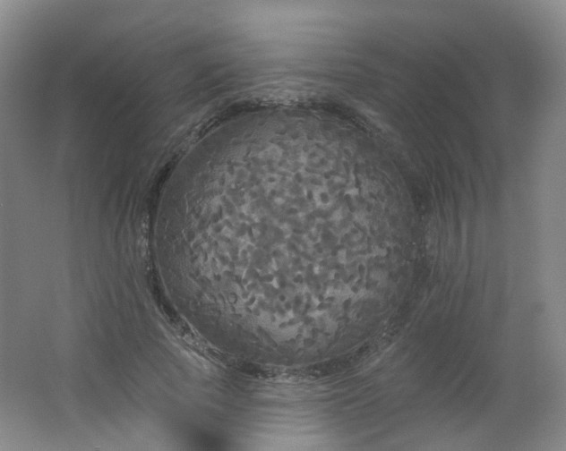 X0000062640737200512211203