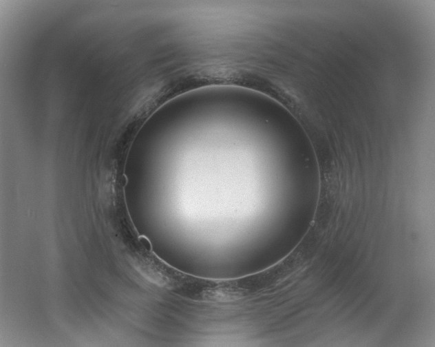 X0000062640739200512211203