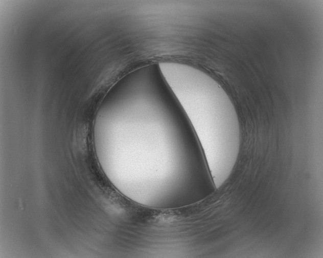 X0000062640742200512211203