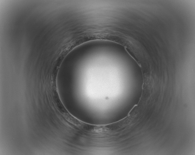 X0000062640752200512211204