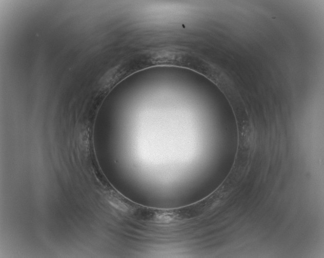 X0000062640753200512211204
