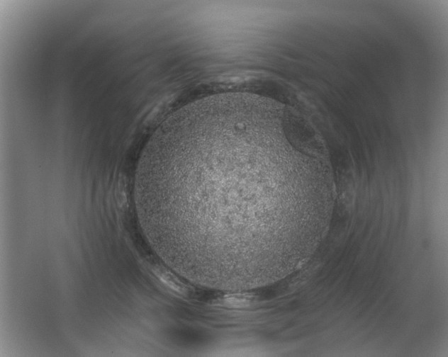 X0000062640758200512211204