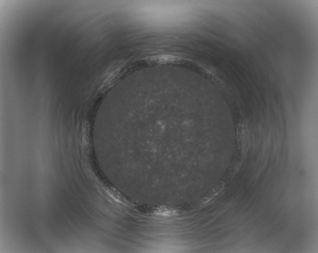 X0000062640760200512211204