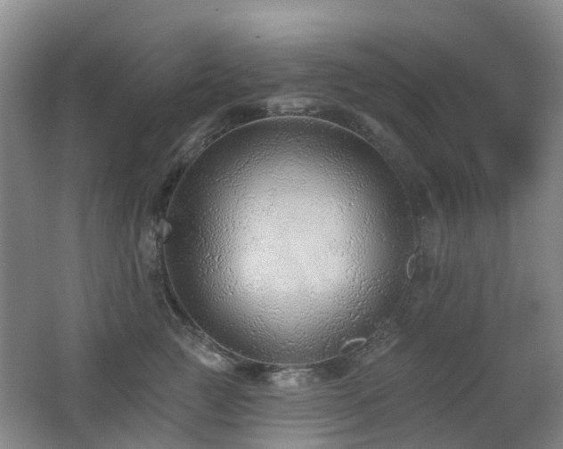 X0000062640761200512211204