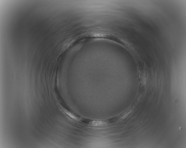 X0000062640766200512211204