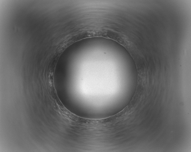 X0000062640770200512211203