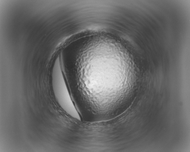 X0000062640776200512211203