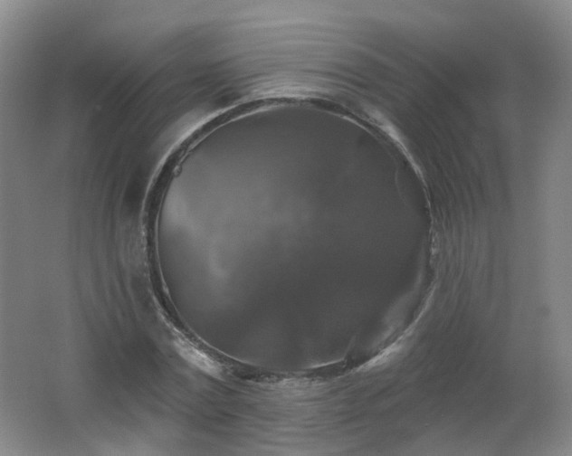 X0000062640779200512211203