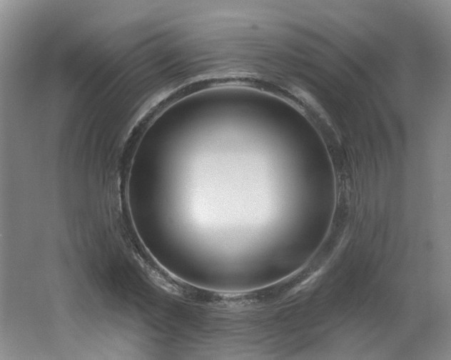 X0000062640781200512211203