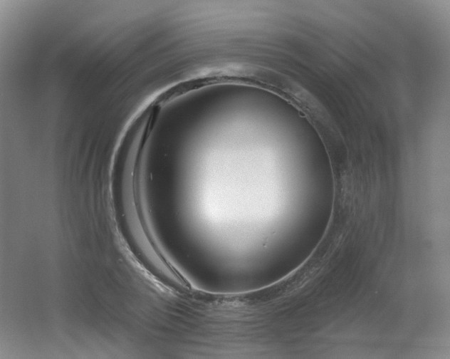 X0000062640784200512211203