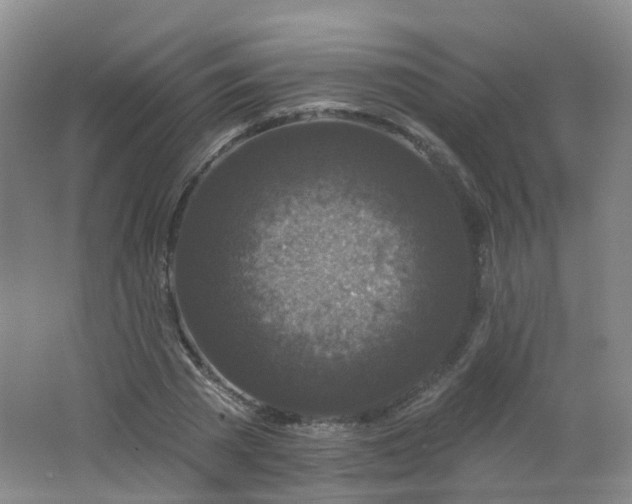 X0000062640785200512211203