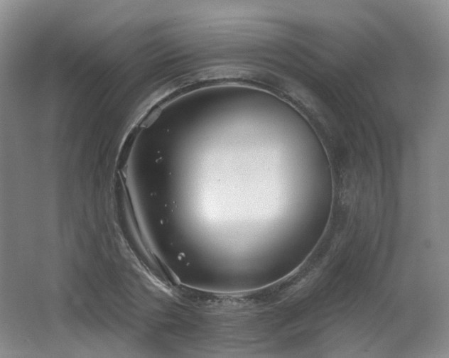 X0000062640786200512211203