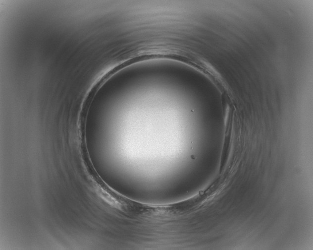 X0000062640787200512211203