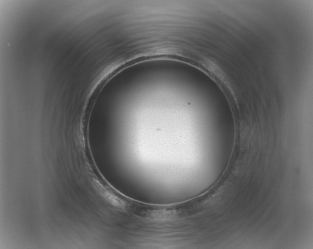 X0000062640789200512211203