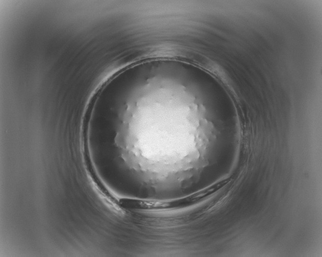 X0000062640795200512211203