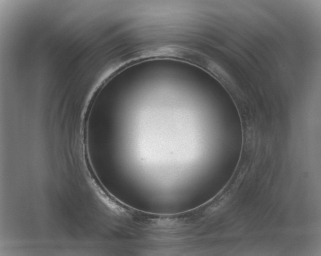 X0000062640800200512211202