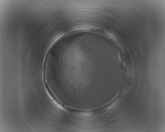 X0000062640802200512211202