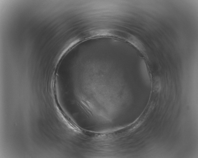 X0000062640806200512211202