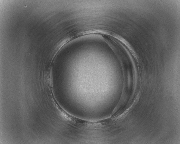 X0000062640809200512211202