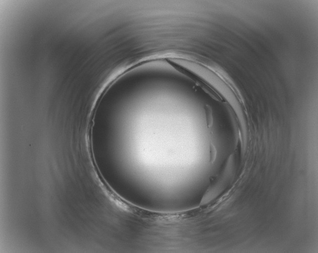 X0000062640813200512211202