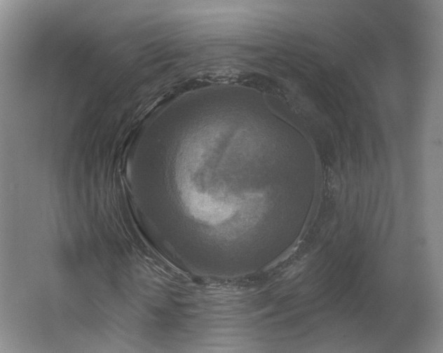 X0000062640818200512211201